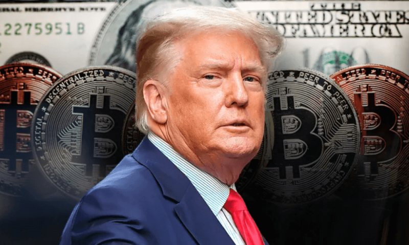 Члены совета директоров американской биткоин-компании, поддерживаемой Трампом, скупают акции после публикации отчета о доходах
